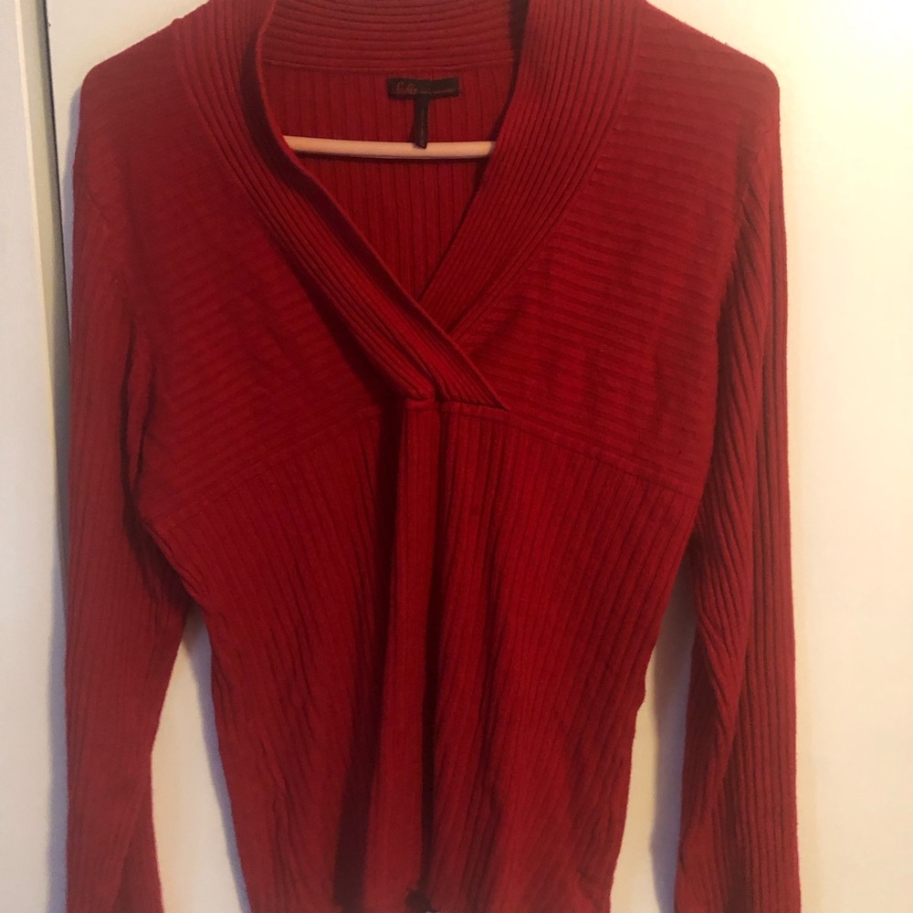 Red flattering Sofia by Sofia Vergara Red V-Neck Sweater